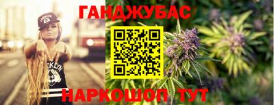 гашик Будённовск