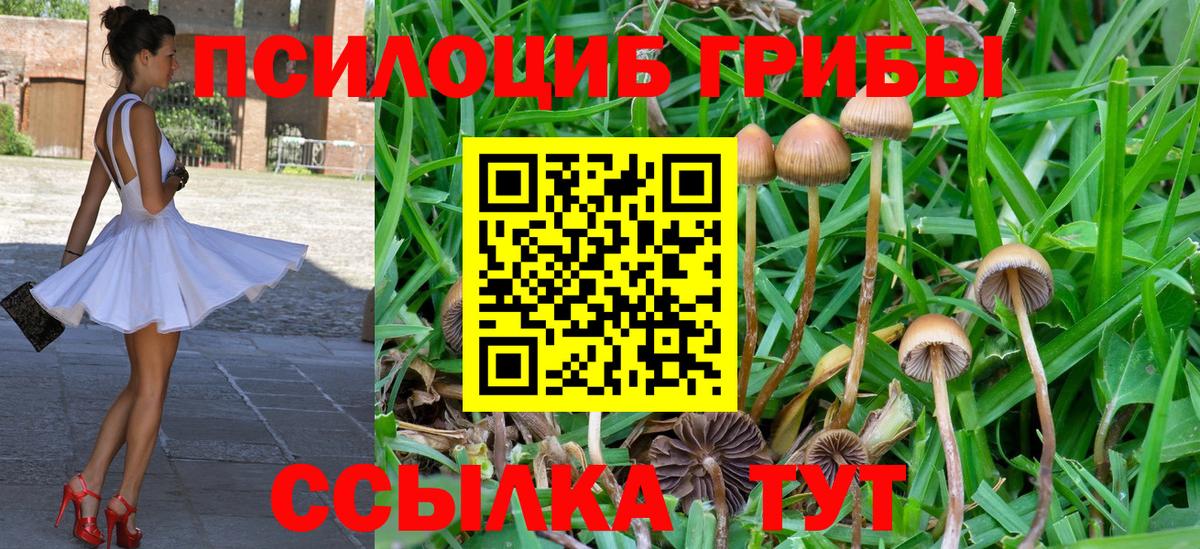 Галлюциногенные грибы мухоморы Протвино